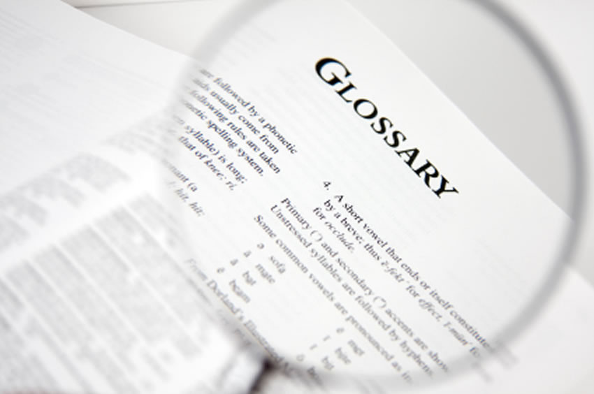 You are currently viewing Your Windshield Repair Glossary