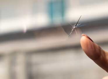 Car windshield crack