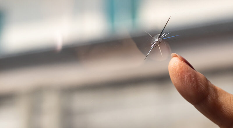 Car windshield crack