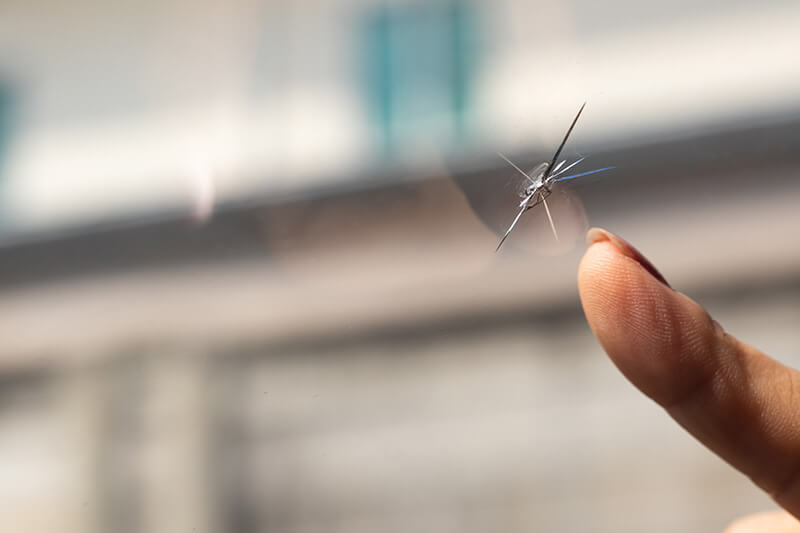 Why It’s Crucial to Replace a Cracked Windshield Instead of Leaving It