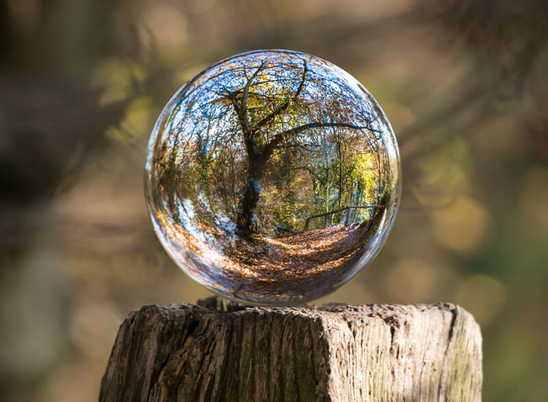 Brevard Can Go Green with Windshield Repair